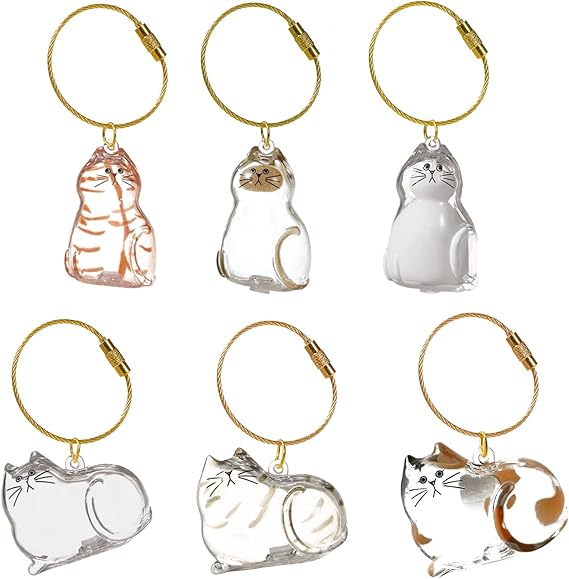 6PcsCat Hair Keychain,Pet Fur Keepsake,Transparent Cat Hair Storage,Pendant for Collecting Cat Hair,Creative Gift for Pet Lovers thumbnail