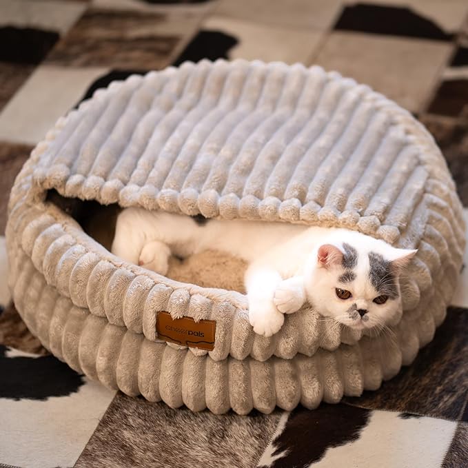 CHEERPALS Cat Bed for Indoor Cats, Washable Round Cat Bed Soft Fluffy Pet Bed for Kitty, Puppy and Small Dog thumbnail